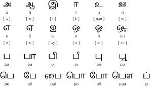 Tamil Alphabets With Malayalam Translation Pdf Alphabet