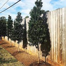 Pin On Landscape Ideas