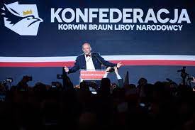 Konfederacja lewiatan skupia ponad 4100 firm zatrudniających w sumie ponad 1 mln osób. Konfederacja Wolnosc I Niepodleglosc Program I Obietnice Wyborcze Czlonkowie Liderzy Sondaze Wp Wiadomosci