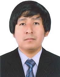 Analysis and data visualization in bibliometric studies