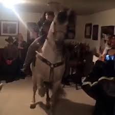 Le cheval, la meilleure des odeurs? Cheval Qui Danse Dans Une Fete Video Dailymotion