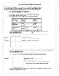 Chapter 10 common worksheets : Dihybrid Cross Worksheet Answers Promotiontablecovers