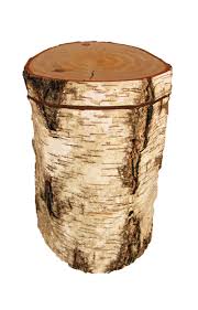 Mini urne zur erinnerung an einen geliebten menschen oder ein tier. Baumstamm Urne Birke Aus Einem Stuck Holz Gefertigt Fur Feuerbestattungen Waldbestattungen Und Als Urne Fur Zuhause Urne Birke Baumstamm Holz Drechseln