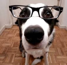 Be It Resolved Greater Fool Authored By Garth Turner The Troubled Future Of Real Estate