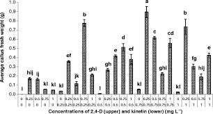 Sabah snake grass, singapore, singapore. The Establishment Of Cell Suspension Culture Of Sabah Snake Grass Clinacanthus Nutans Burm F Lindau Springerlink