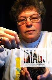 IMAGO. Bilder & Videos für Medien, Sport & Marken