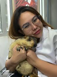 เลี้ยงแมวครั้งแรก: เรื่องราวที่ไม่คาดคิดจากการปีนต้นไม้