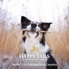 Happy tails pet resort and spa. Happy Tails Pet Resort And Camp Photos Facebook