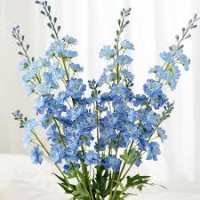 Image result for Delphinium