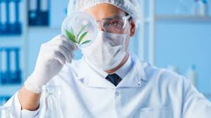 Florida's premier medical marijuana doctors. How To Become A Medical Marijuanas Card Patient In Florida