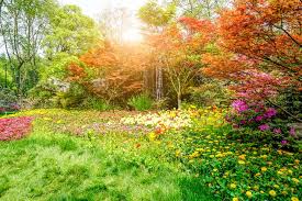 Spring landscape Images - Free Download ...