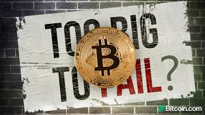 Are you collecting the $18.27 that you thought you were getting or are you collecting so, no, 90% bitcoin won't fail in the long term, because even if you couldn't use daily as a currency, a huge amount of people will rush to it to use it. Economist Says Bitcoin Isn T Too Big To Fail Warns Btc Can Only Establish Itself If Governments Allow It Regulation Bitcoin News