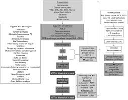Image result for Stroke Pathophysiology