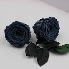 A flower is a naturally occurring plant that occurs in various forms and colors. Wholesale Prices Natural Preserved Flowers Real Black Roses Buy Real Black Roses Preserved Roses Real Preserved Black Roses Product On Alibaba Com