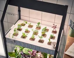 You can practice simple hydroponics indoors or outdoors, and even build a hydroponic greenhouse. 33 Amazing Hydroponic Systems For Indoor Gardening