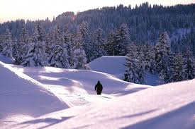 Eh bien oui, j'abuse un peu du mot montagne, dans le cadre de cette journée internationale lancée par l'onu en 2003 pour rappeler que 12 % de la population mondiale vit à la montagne, et qu'il faut en prendre soin. Groupe Pvg La Montagne Ca Vous Gagne