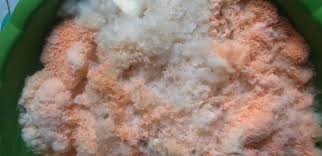 51) cara peram tahi ayam ,lengkap. Hasilkan Baja Organik Mol Lebih Efektif Hanya 6 Langkah Mudah Gunakan Nasi Basi Je Petua Ibu