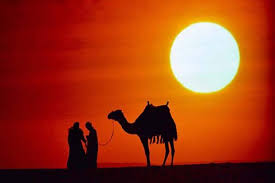 Cuba semua mereka di peranti anda untuk melihat mana yang menyelesaikan masalah ok google anda yang tidak berfungsi: Kisah Rasulullah Berdialog Dengan Unta