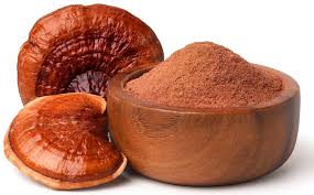 Red Reishi Mushroom Extract Powder ...