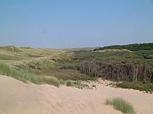 Formby beach is a national trust site and one of the few areas in the uk with a red squirrel population. Formby Wikipedia