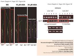 Científicos al borde de un ataque de nervios