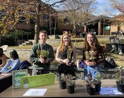 The Flat Hat March 6, 2024 by The Flat Hat