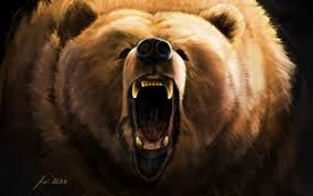 Maybe you would like to learn more about one of these? Bear Widescreen 16 10 Wallpapers Hd Desktop Backgrounds 2560x1600 Images And Pictures