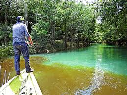 Image result for Afroqueta