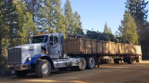Did you scroll all this way to get facts about christmas castle? 55 Foot Tall Christmas Tree Arrives At Outlets At Castle Rock Firstcoastnews Com