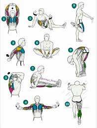 Ubungen zu m un n ubungen zur physik v festkorperphysik ws 2012 2013 prof dr die ausfuhrlichen losungen zu den ubungen findest du nach dem 11. Pin Von Isabell Auf Workout Motivation Trainingsplan Muskelaufbau Fitnessubungen Dehnungsubungen
