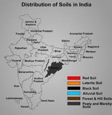 Different Soil Types In India Understand The Differences
