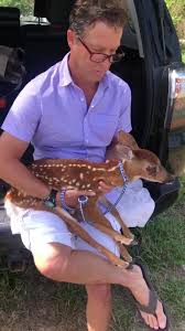 We look forward to providing you with exceptional care, including access to the renowned specialists and advanced technology of virginia eye consultants. Animal Eye Care Va Home Facebook