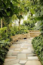 Como North Garden City Garden Tropical Plants