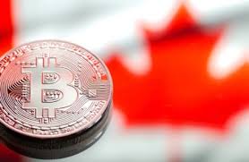 Coinsquare is canada's largest crypto and bitcoin exchange. How To Buy Bitcoin In Canada The Comprehensive Starter Guide