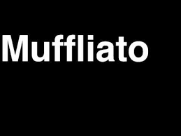 How To Pronounce Muffliato Harry Potter Charm Curse Casting Magic Spell Incantation Wizard Wand Duel Youtube