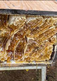 日本蜜蜂ハチミツ 非加熱 純粋蜂蜜1.2kg×6 | visitversailles.org