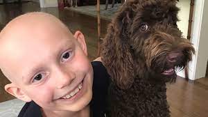 However, the prognosis remains poor with surgery alone; Spit For Riley 9 Year Old Girl With Cancer Recruits 1000 Bone Marrow Donors