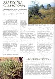 Image result for Pearsonia mesopontica