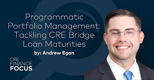 Programmatic Portfolio Management: Tackling CRE Bridge Loan Maturities