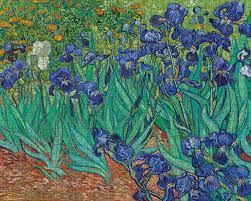 Van gogh café at night 1000 piece jigsaw puzzle. Van Gogh Irises 1000 Piece Jigsaw Puzzle By Van Gogh 9780764936517 Booktopia