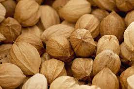 Deez Nuts Haudenosaunee Uses Of Hickory Traditional Food Food Source Coastal Food