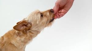 Raw dog food has taken off in popularity with dog owners over the past few years. 6 Best Raw Dog Foods In 2021 Freeze Dried Foods Brand Reviews