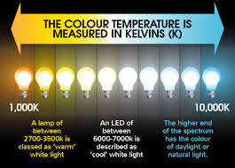 Soft white emits a warm, slightly yellowish hue, while daylight bulbs are designed to emulate actual daylight on a sunny day at noon. What S The Difference Between Warm White And Cool White Leds