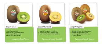 Histoire et origine du kiwi. Les Kiwis Zespri A La Conquete Du Monde