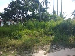 Saya nak beli tanah di melaka bajet bawah rm150k atau lebih sket boleh dipertimbangkan kriteria: Tanah Untuk Dijual Di Serkam Jual Beli Hartanah Melaka Facebook