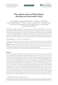 Image result for Schizochilus lepidus