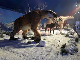 A) menternak haiwan b) 12) mengapakah haiwan yang hidup semasa zaman pleistosen telah pupus pada zaman air batu akhir? Pakar Travel Ice Age Alive Kl 2018 Temui Haiwan Zaman Facebook