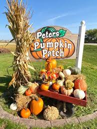 When it comes to seattle pumpkin patches and farms, we've got you covered with eighteen area schilter family farm. Peter S Pumpkin Patch Home Facebook