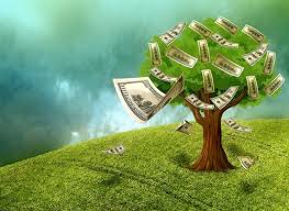 Bonsai meaning tray gardening in japanese is the process of growing trees and plants, while keeping them small by the use of careful pruning. Feng Shui Money Tree Plant Use It To Attract Wealth In 2021