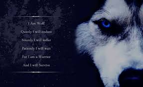 See more ideas about wolf, wolf meme, wolf quotes. Armin Wolf Explore Tumblr Posts And Blogs Tumgir
